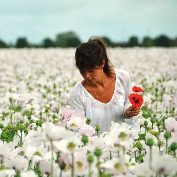 Secrets de Miel Elise portrait coquelicots