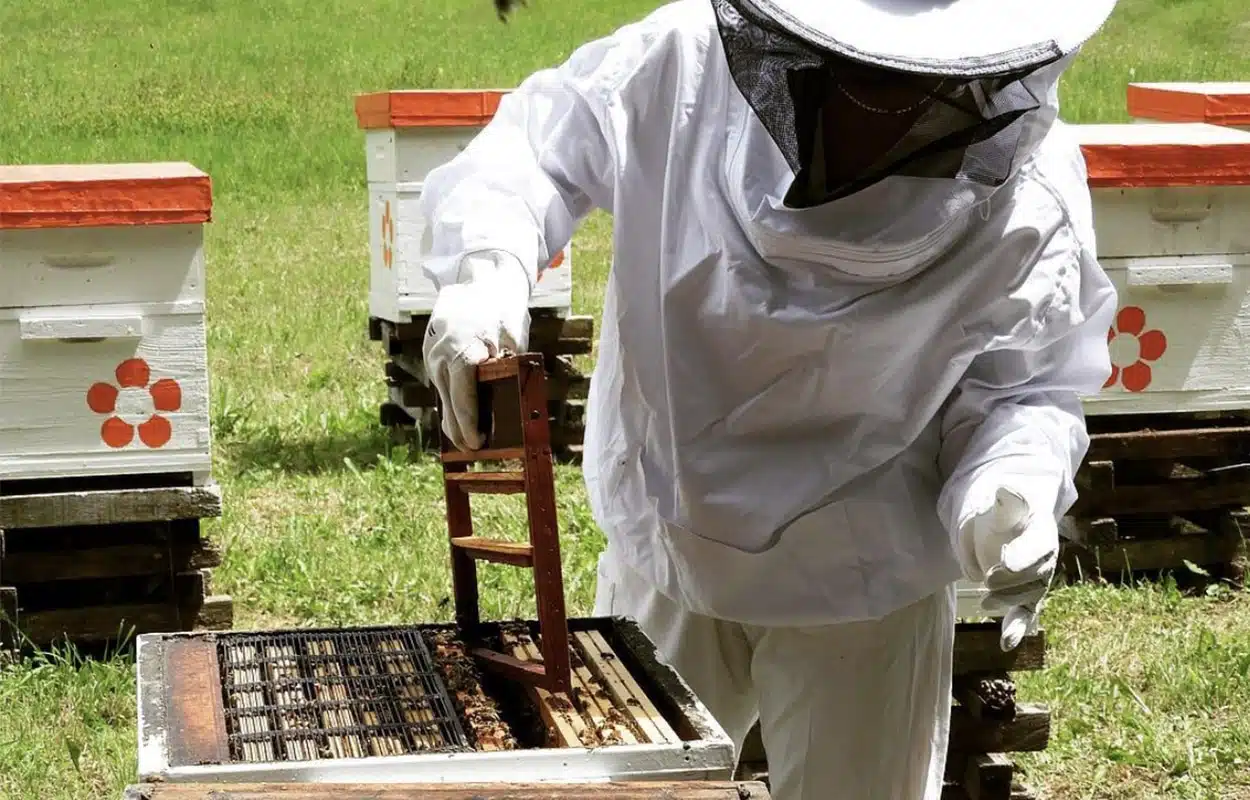 Secrets-de-Miel_Savoir-Faire