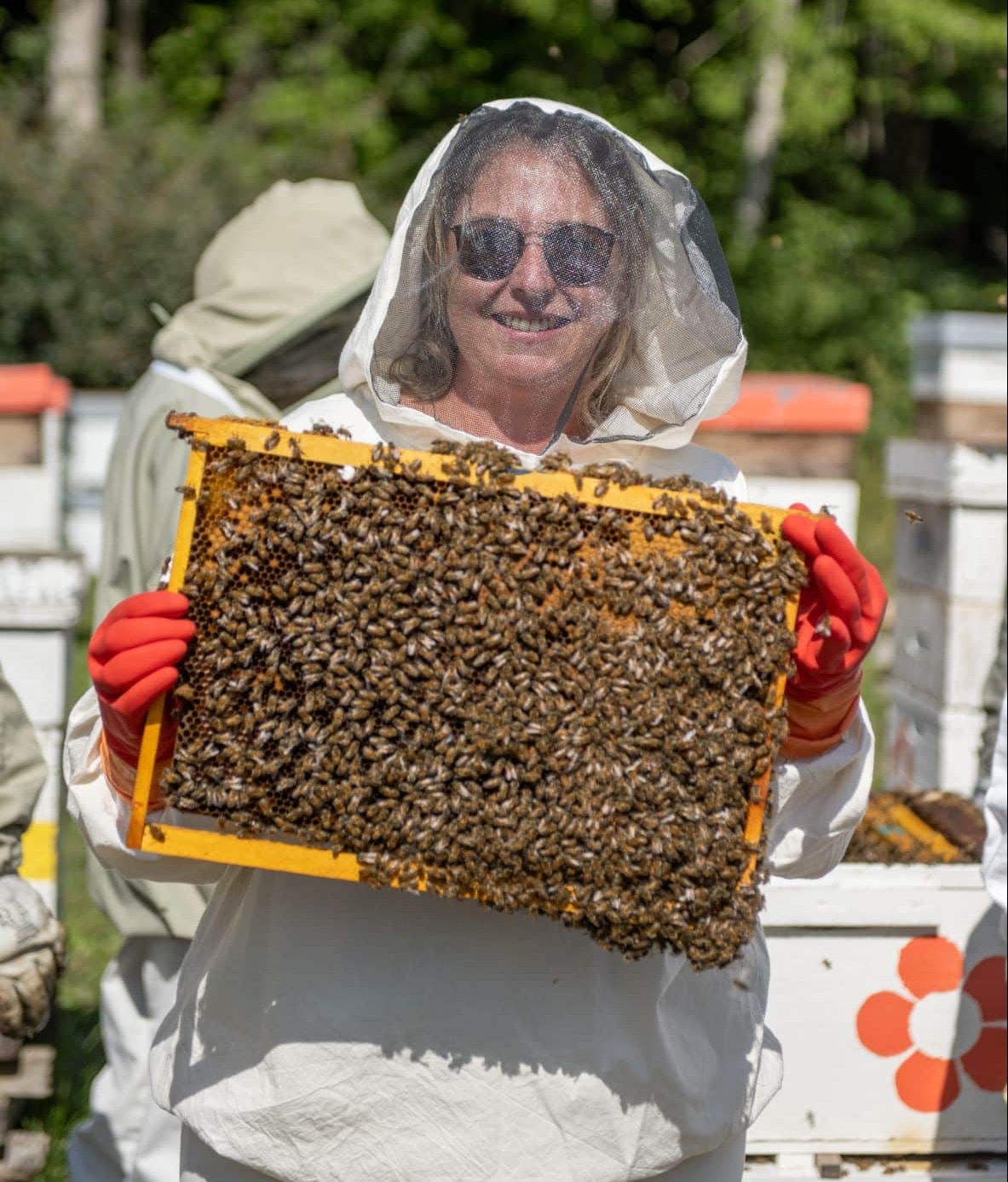 formation apitherapie e1664180576729