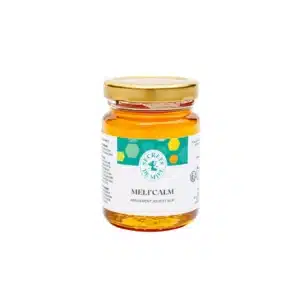 Design sans titre 2025 03 13T164900.394