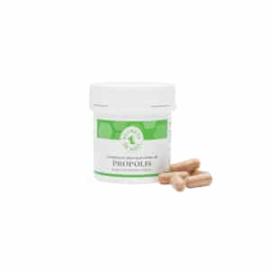 propolis en gélules