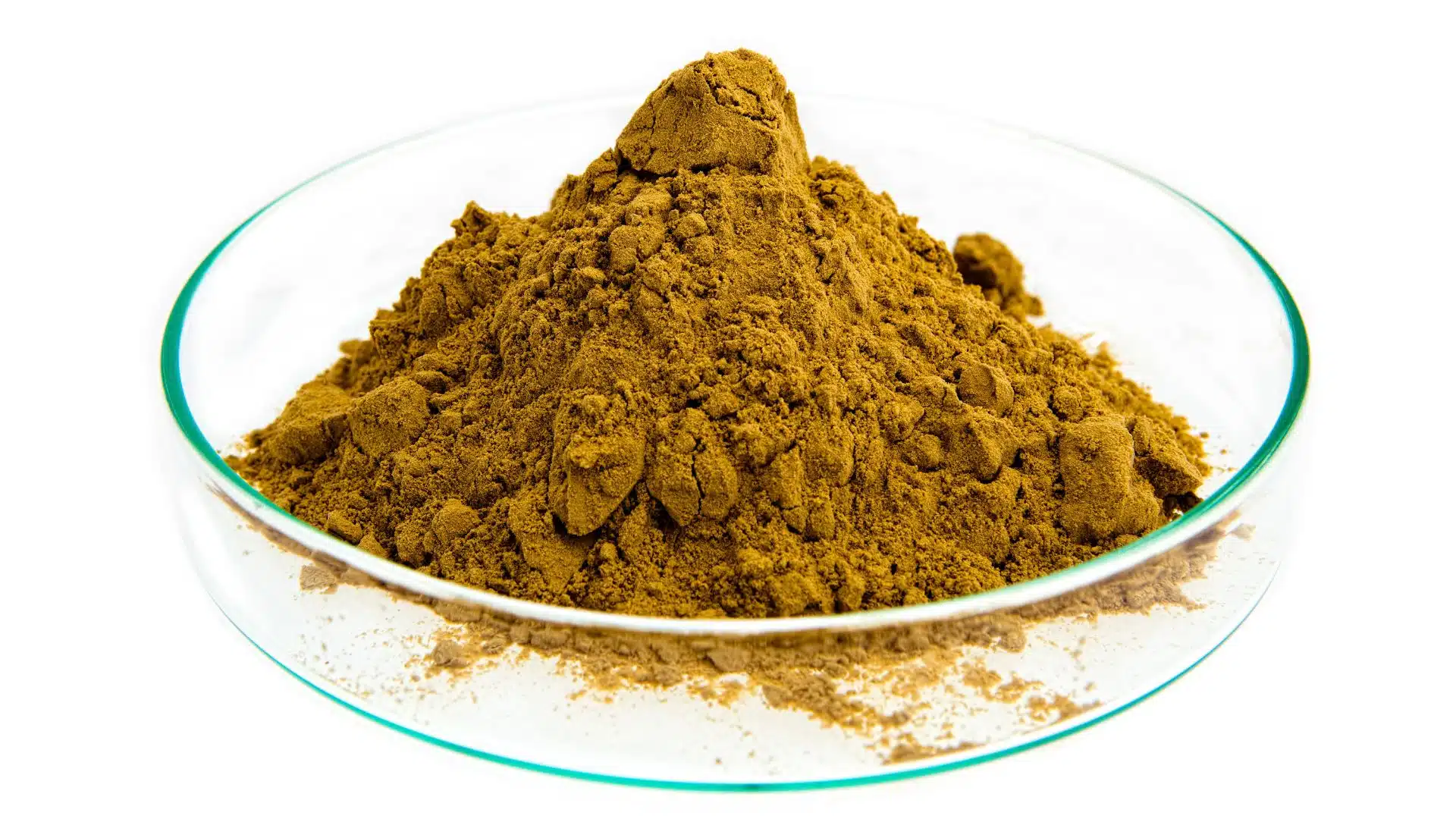 les bienfaits de l'harpagophytum