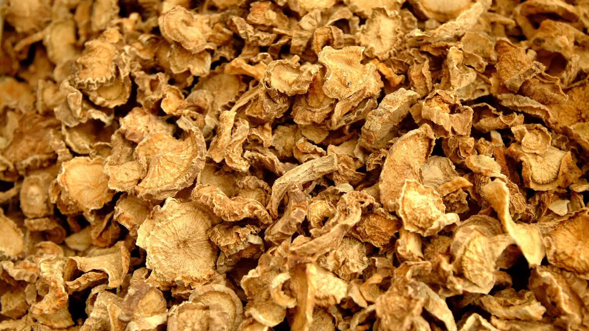 Consommer de l'Harpagophytum