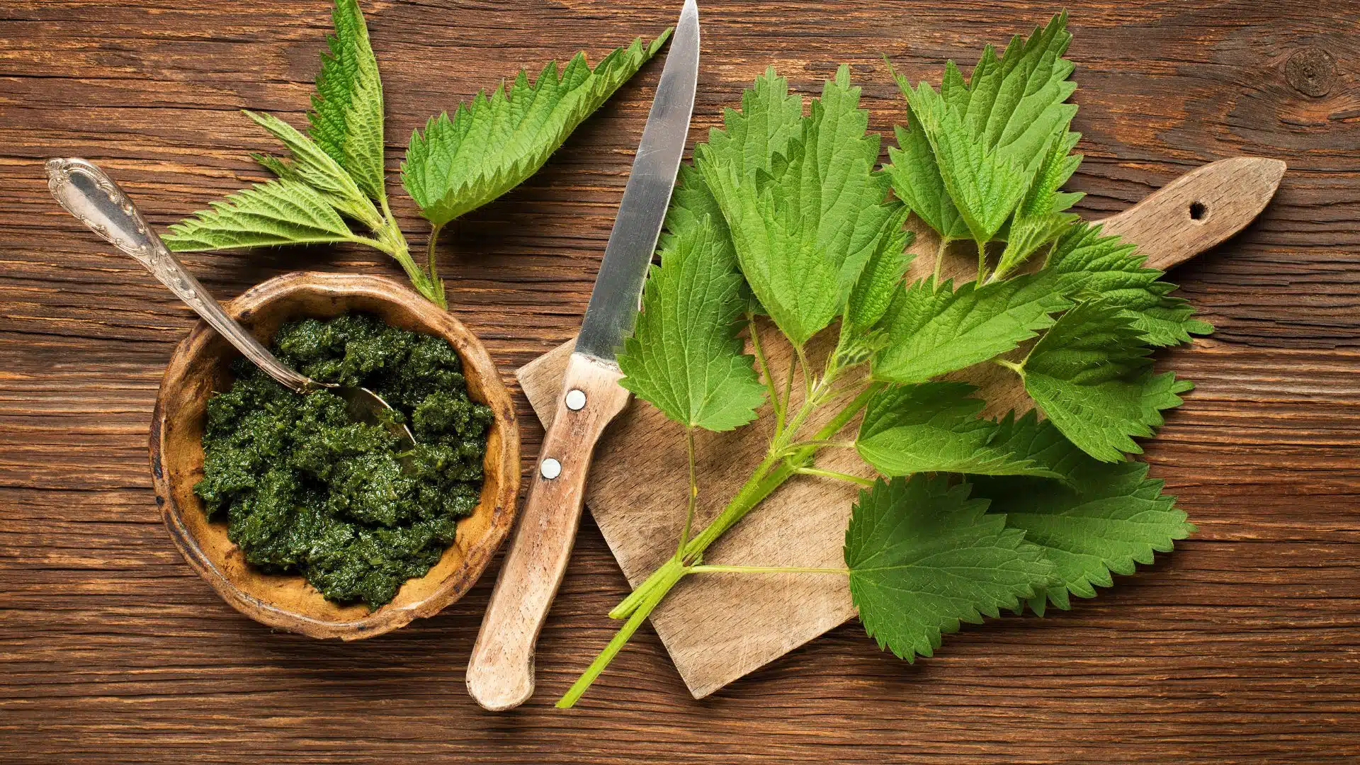 Comment consommer l'Ortie