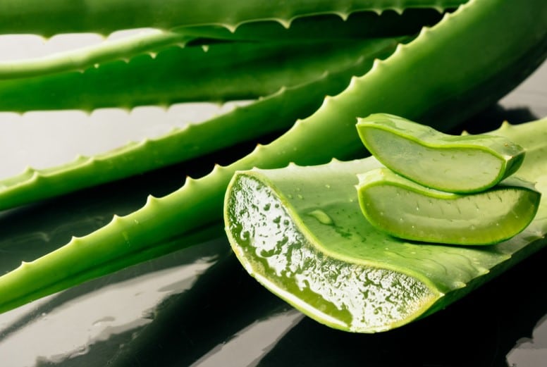 aloe vera 3