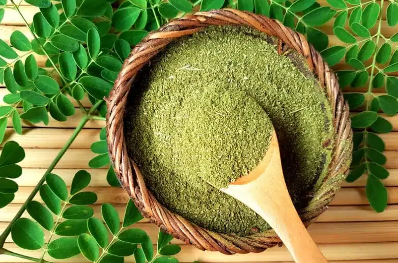 moringa 2