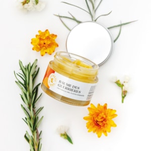 BDG BaumedesGuerrieres eshop 1